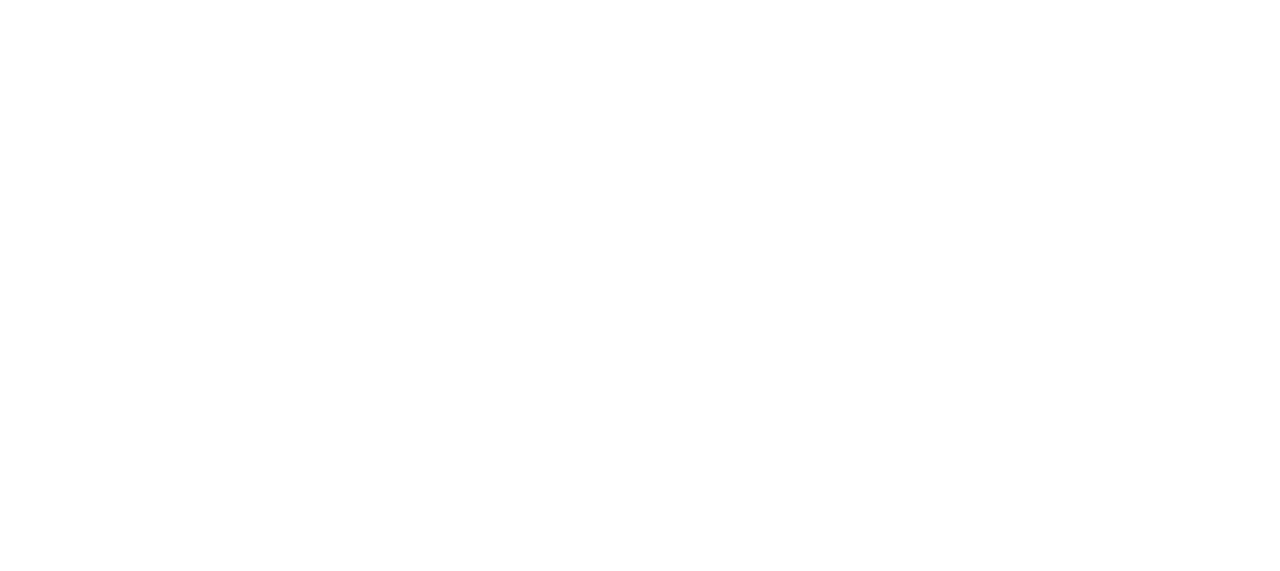 Vires Law Group